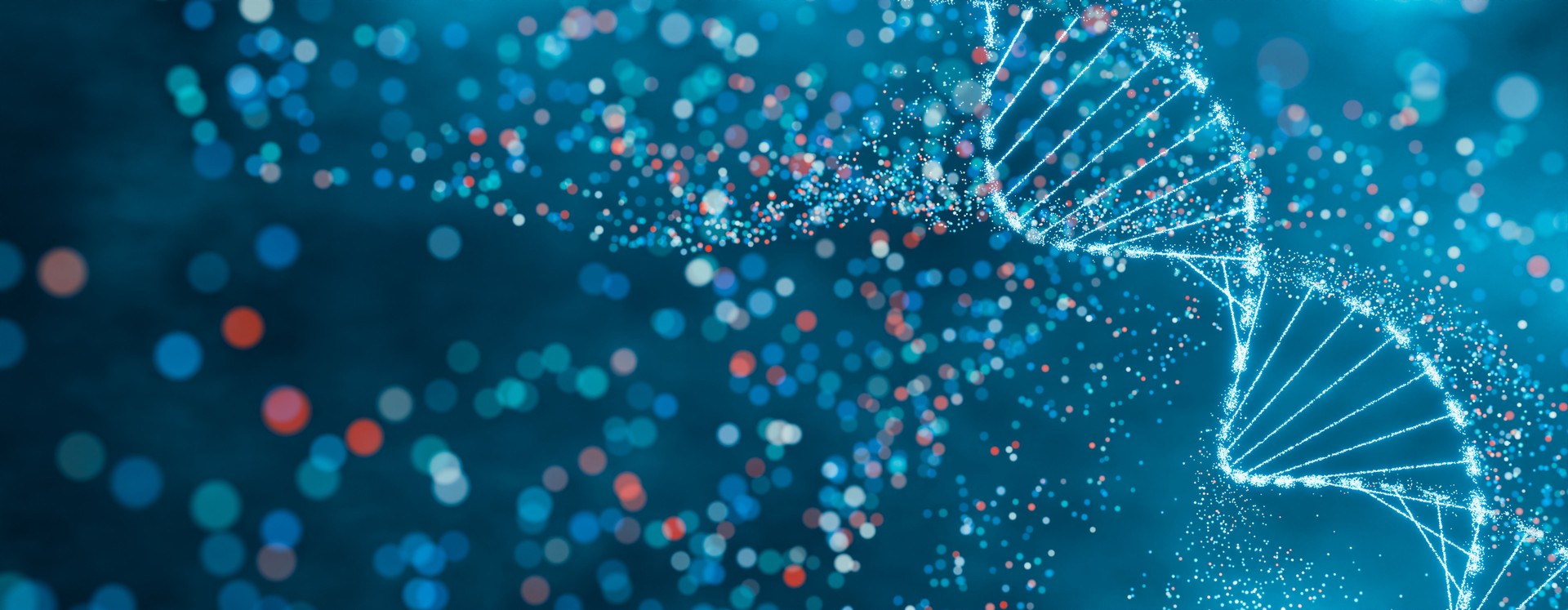 Healthcare & Life Sciences